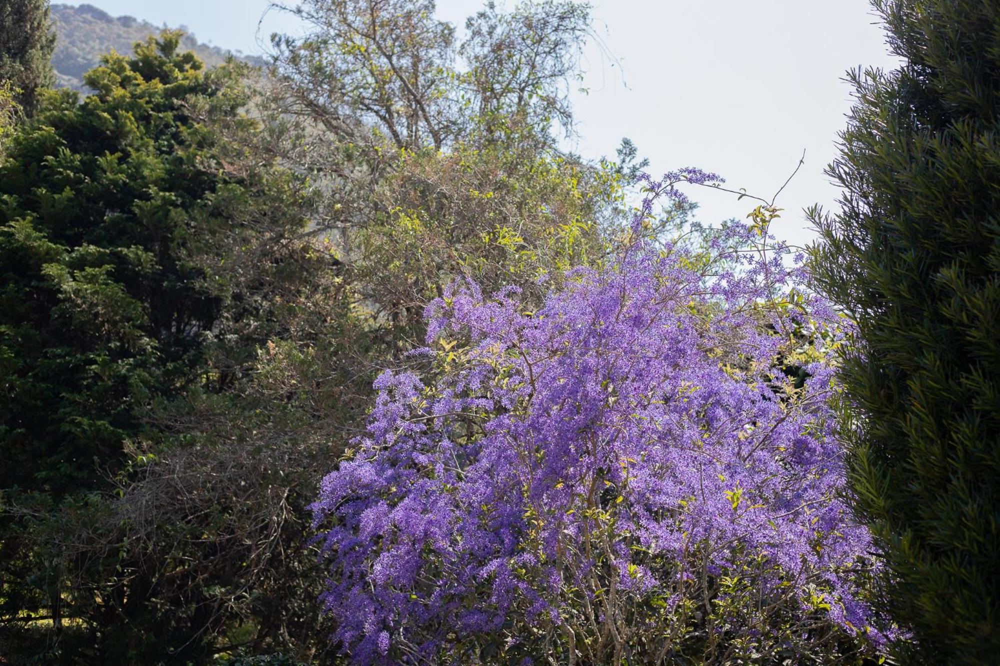 Teresópolis Recanto Dos Vianas מראה חיצוני תמונה